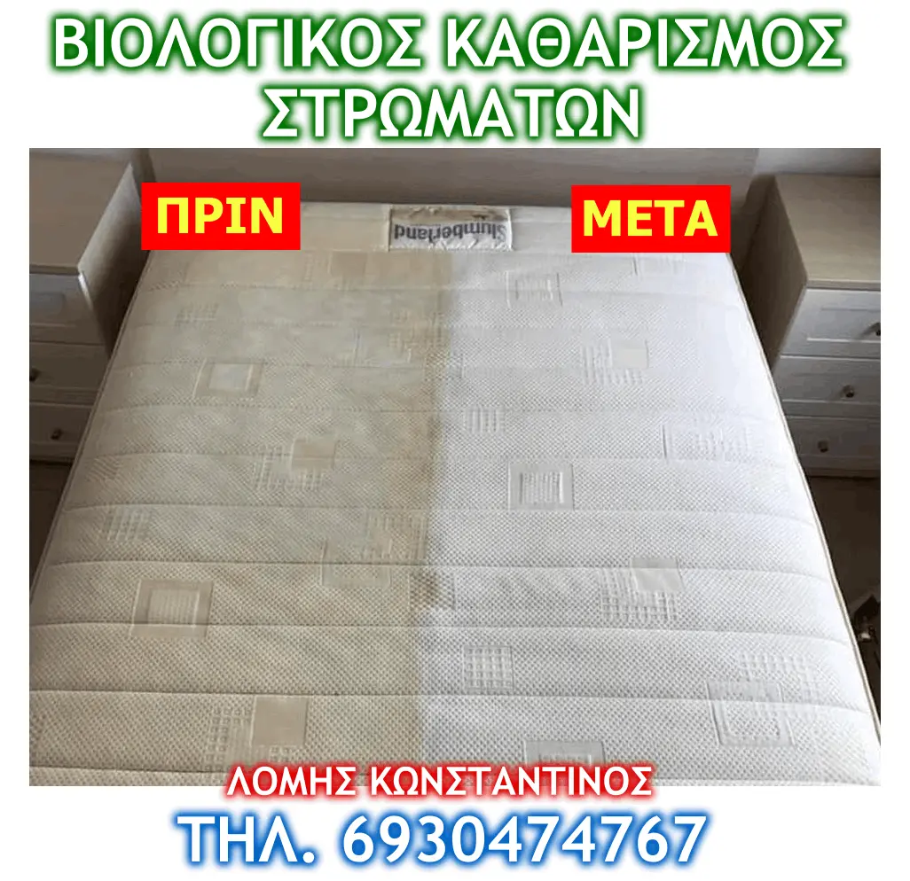 ΒΙΟΛΟΓΙΚΟΣ ΚΑΘΑΡΙΣΜΟΣ ΣΤΡΩΜΑΤΩΝ ΣΤΡΩΜΑΤΟΣ ΣΤΡΩΜΑ ΑΛΕΞΑΝΔΡΟΥΠΟΛΗ